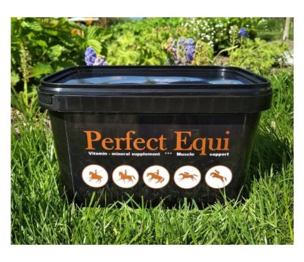 Perfect Equi -COMPLETE-