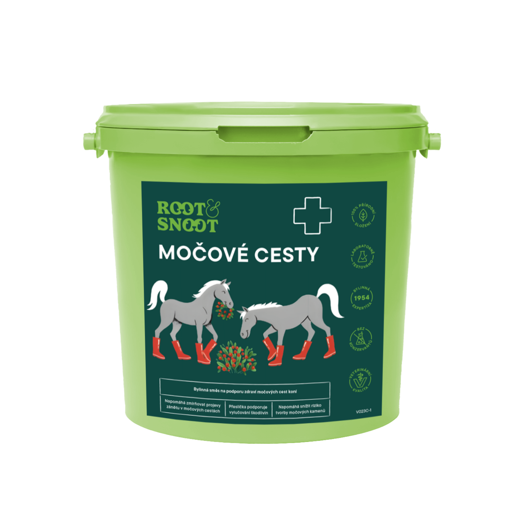 Močové cesty