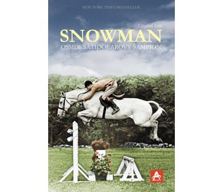 Kniha -SNOWMAN-