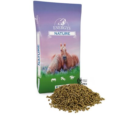 Foto - Energys -VOJTĚŠKOVÉ ÚSUŠKY-