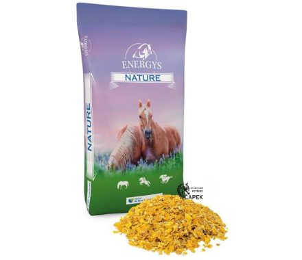 Energys -CORNFLAKES-