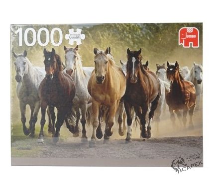 Foto - Puzzle Horka -WILD HORSES-