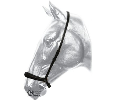 Foto - Nánosník Kentaur -HANOVERSKÝ-