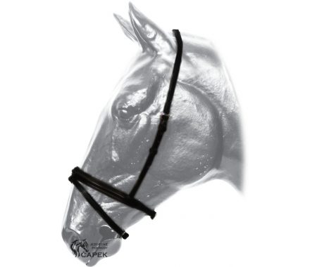 Foto - Nánosník Kentaur -ANGLICKÝ-