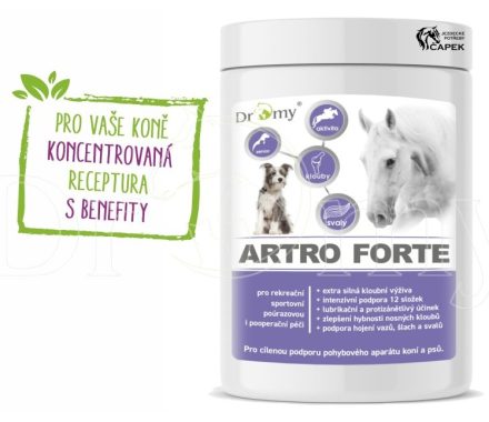 Dromy -ARTRO FORTE-