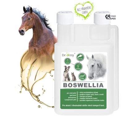Dromy -BOSWELLIA LIQUID-