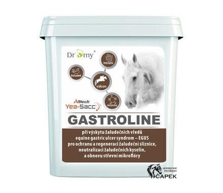 Foto - Dromy -GASTROLINE-