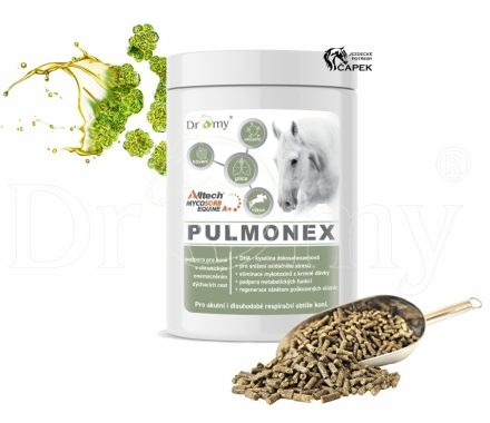 Foto - Dromy -PULMONEX-