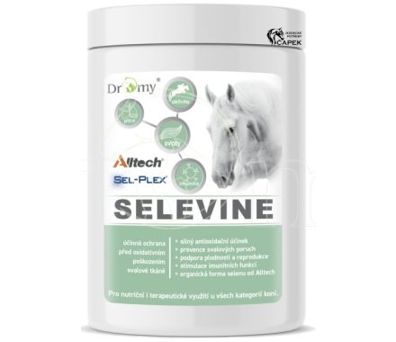 Foto - Dromy -SELEVINE-