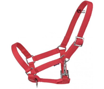 Foto - Hříběcí ohlávka Busse -YOUNG-