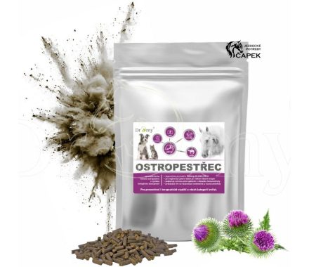 Foto - Dromy -OSTROPESTŘEC-