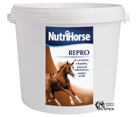 Foto - NutriHorse -REPRO-