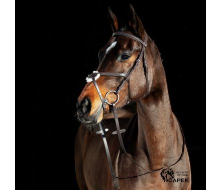 Foto - Uzdečka Horze -PRESCOTT-