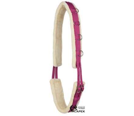 Foto - Lonžovací obřišník Horze -COLOUR-