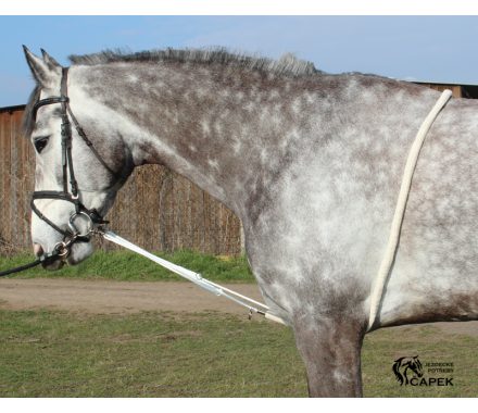 Foto - Lonžovací průvlečka Kentaur -MĚKKÁ-