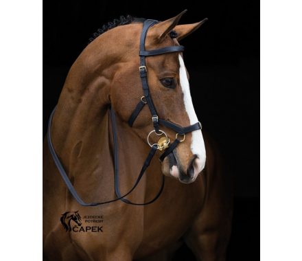 Akční uzdečka Horseware -RAMBO MICKLEM MULTI-
