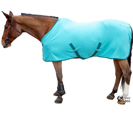 Foto - Odpocovací deka Kentaur -ECONOMY-