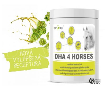 Foto - Dromy -DHA 4 HORSES-