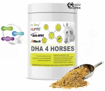 Foto - Dromy -DHA 4 HORSES-
