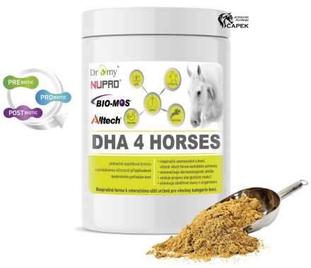 Dromy -DHA 4 HORSES-