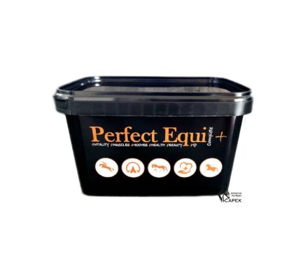 Foto - Perfect Equi -COMPLETE-