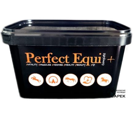 Perfect Equi -COMPLETE+-
