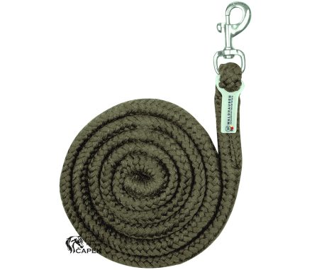 Vodítko Waldhausen -ECONOMIC-