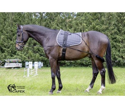 Foto - Lonžovací postroj HKM -PESSOA-