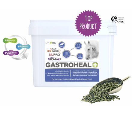 Dromy -GASTROHEAL CONCENTRATE-