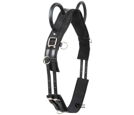 Madla Imperial Riding -VIDAL-