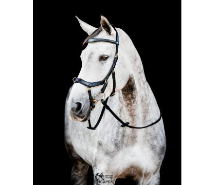 Uzdečka Horseware -MICKLEM 2 MULTI-