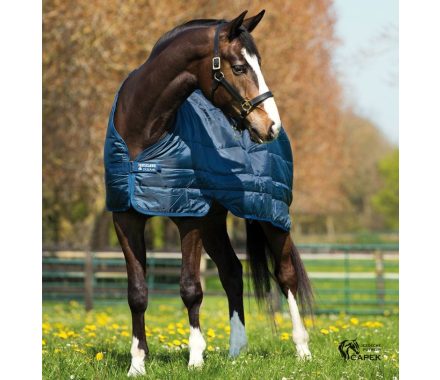 Foto - Podvleková deka/liner Horseware -CLASSIC 100G-