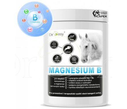 Dromy -MAGNESIUM B-