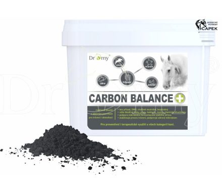Dromy -CARBON BALANCE-