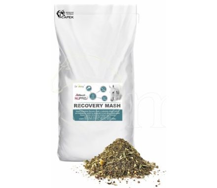 Dromy -RECOVERY MASH-