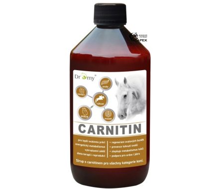 Dromy -L-CARNITIN-