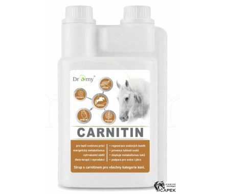 Dromy -L-CARNITIN-