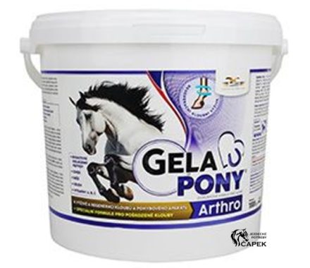 Foto - Gelapony -ARTHRO-