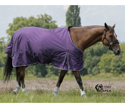 Foto - Deka výběhová EquiTheme -TYREX AISANCE 600D 300G-