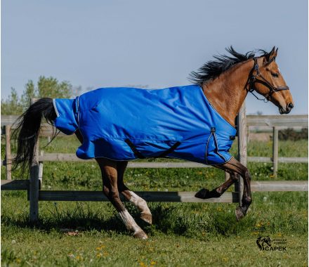 Deka výběhová EquiTheme -TYREX AISANCE II 1200D 150G-