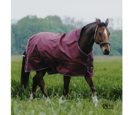 Foto - Deka výběhová EquiTheme -TYREX 1200D HN 150G-