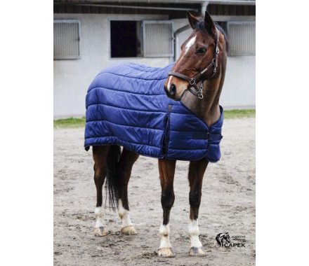 Foto - Podvleková deka/liner Equi-Théme -CLASSIC 100G-