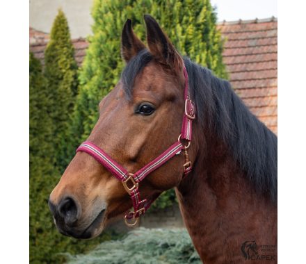 Ohlávka Kentaur -ROSEGOLD-