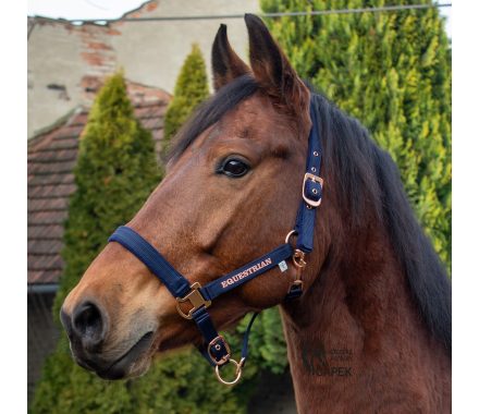 Ohlávka Kentaur -ROSEGOLD II-