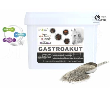 Dromy -GASTROAKUT-