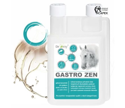Dromy -GASTRO ZEN-