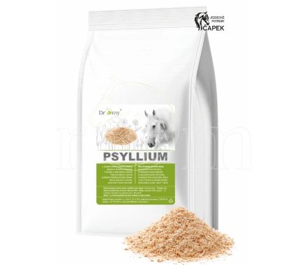 Dromy -PSYLLIUM VLÁKNINA-