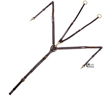 Poprsník Kentaur -LYON-