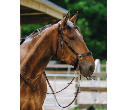 Foto - Bezudidlová uzdečka Norton -BITLESS-