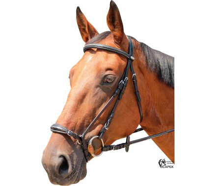 Uzdečka Kentaur -CLARKSVILLE-